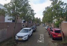 Ontwerp groot onderhoud Rijnsoever is klaar