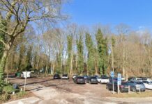 Plannen voor Panbos: eigentijdser bos en inzet boa’s