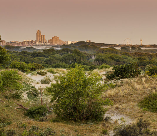 Hollandse Duinen nu officieel een Nationaal Park