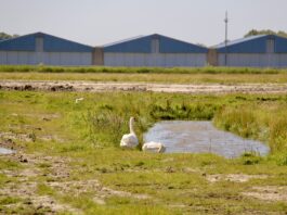 CDA wil duidelijkheid over PFAS in Valkenhorst en vraagt om snelle sanering