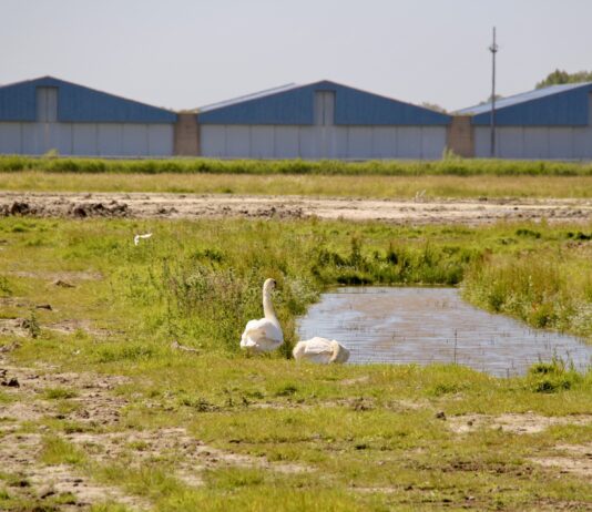 Plannen voor nieuw beweegpark in Valkenhorst