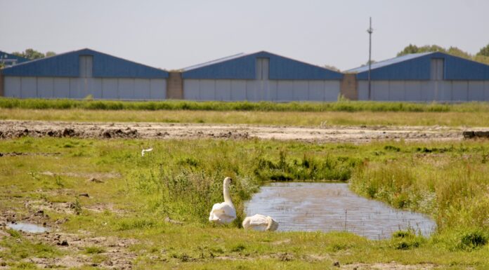 CDA wil duidelijkheid over PFAS in Valkenhorst en vraagt om snelle sanering