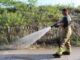 Duin in brand