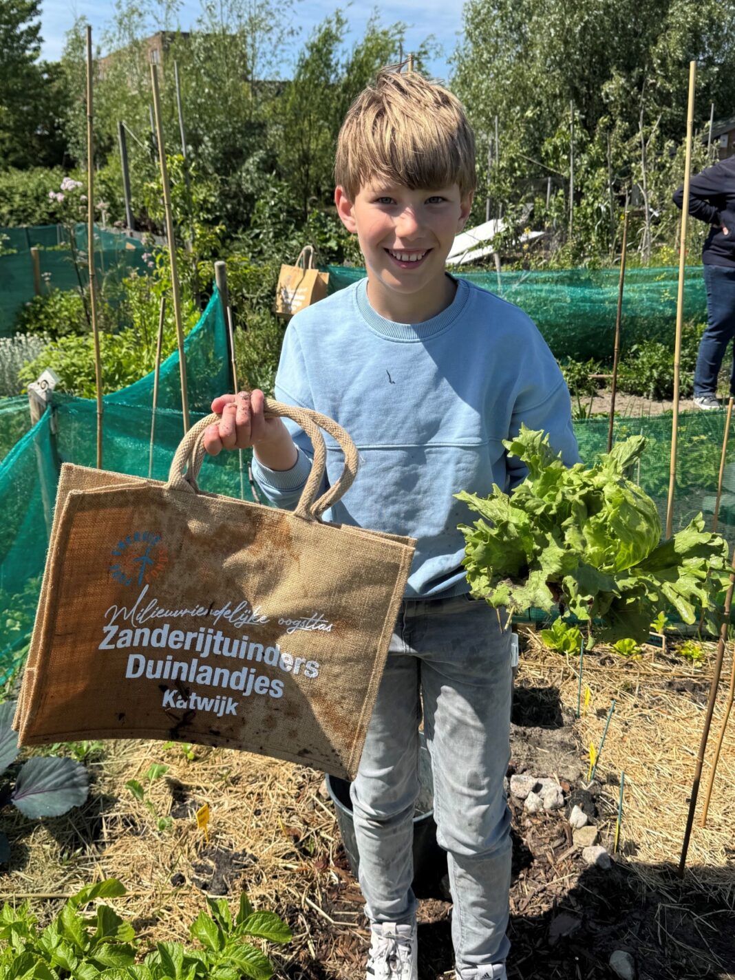 060826duinlandjes