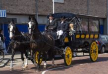 Paardenmarkt Rijnsburg: dorpsfeest voor jong en oud