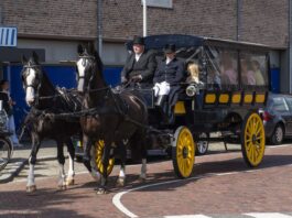 Paardenmarkt Rijnsburg: dorpsfeest voor jong en oud