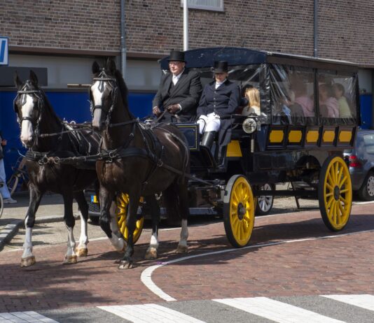 Paardenmarkt Rijnsburg: dorpsfeest voor jong en oud