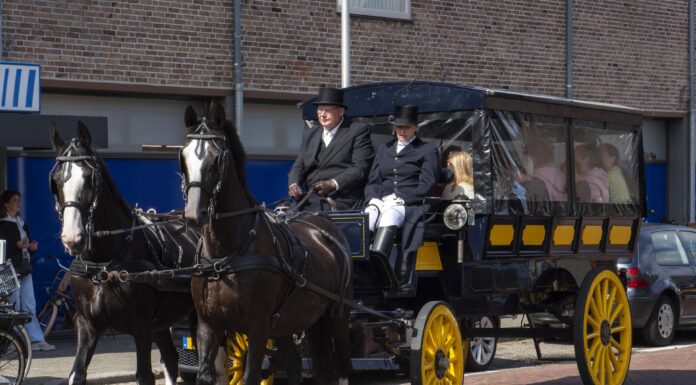Paardenmarkt Rijnsburg: dorpsfeest voor jong en oud