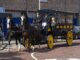 Paardenmarkt Rijnsburg: dorpsfeest voor jong en oud
