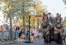 Inschrijving Zuid-Hollands kampioenschap ringrijden geopend
