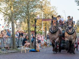 Inschrijving Zuid-Hollands kampioenschap ringrijden geopend