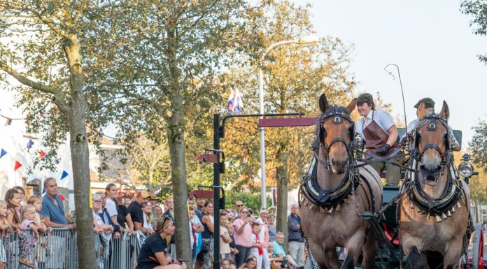 Inschrijving Zuid-Hollands kampioenschap ringrijden geopend