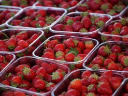 Code rood: sommige scholen dicht en geen weekmarkt