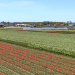 GOM ziet weer perspectief