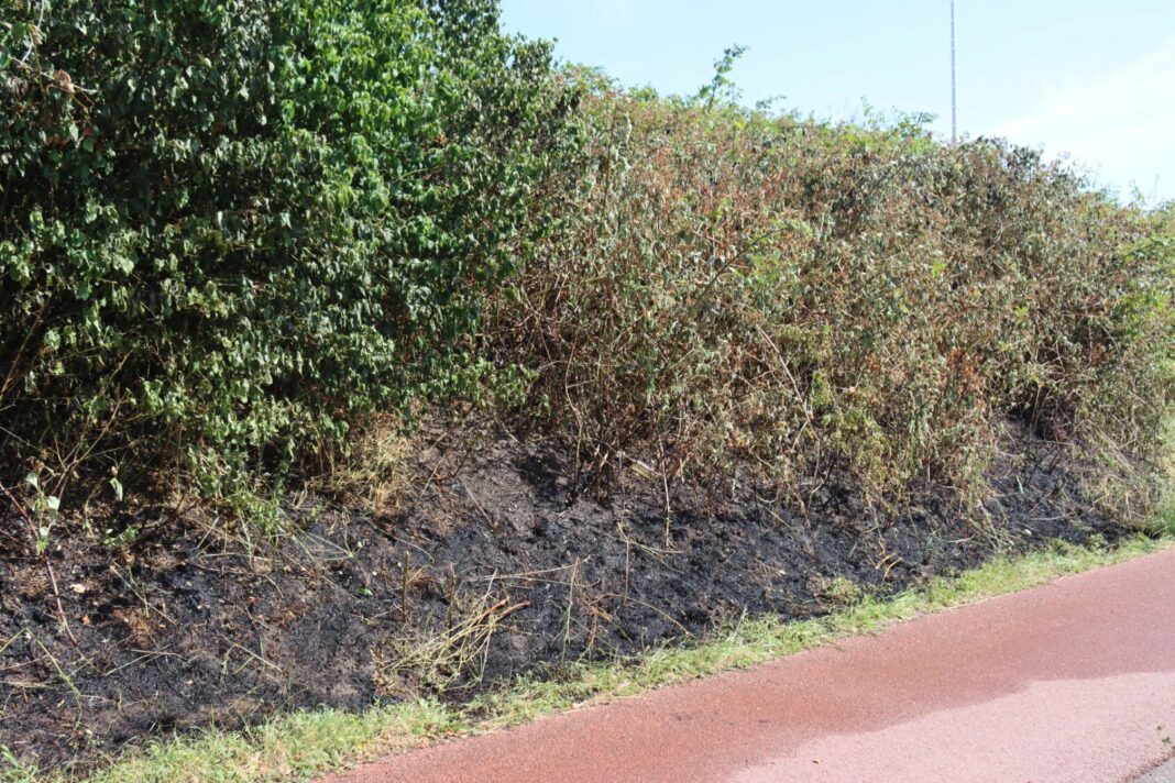 070726duinbrandkatwijk