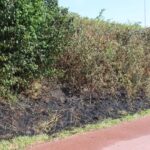Brandweer rukt groots uit voor bermbrand in Katwijk