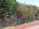 Brandweer rukt groots uit voor bermbrand in Katwijk