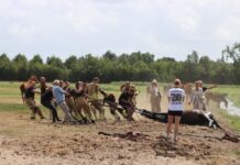 Te water geraakt paard na 1,5 uur gered bij grote reddingsactie in Rijnsburg