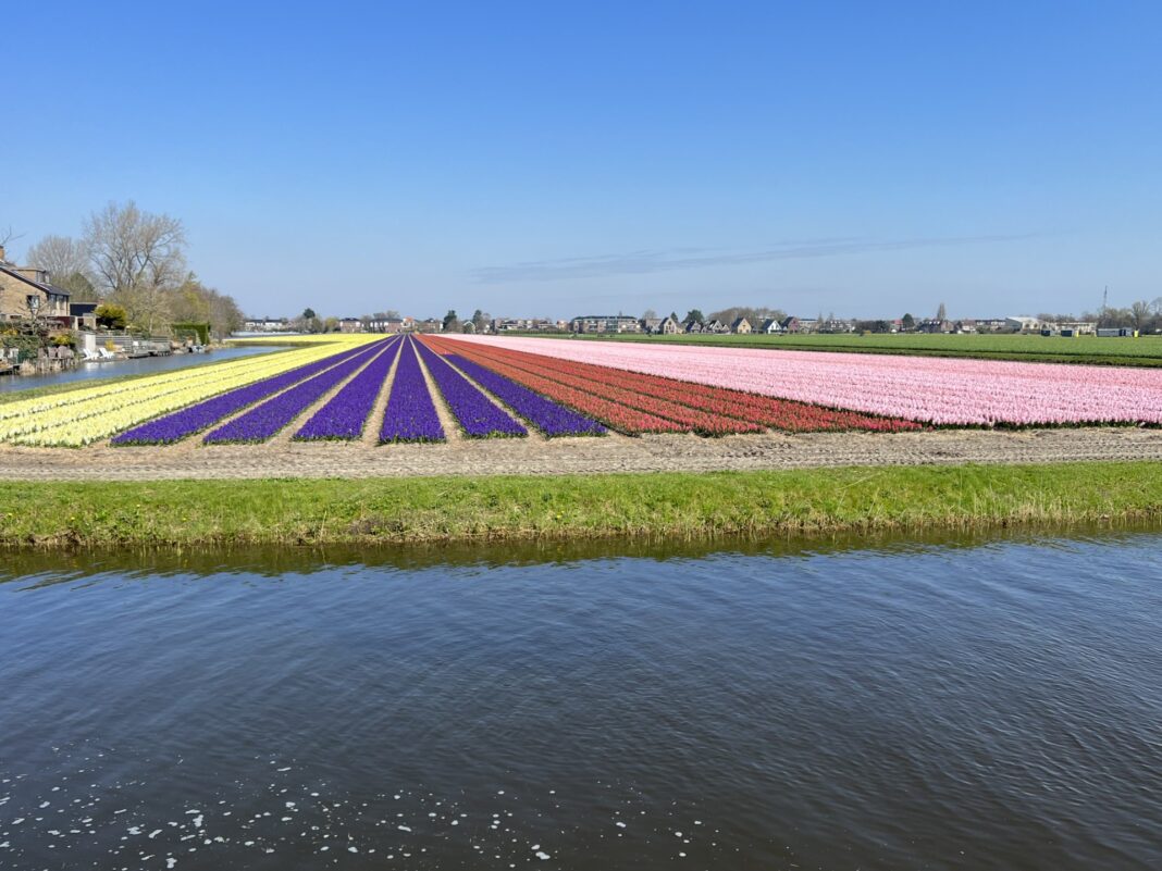 072126bollenveldenlto