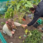 Schooltuin-kinderen oogsten aardappelen