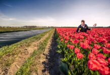 Voorkomen van dijkdoorbraken belangrijker dan bollenteelt en landbouw: waterschap waarschuwt voor gevolgen van droogte