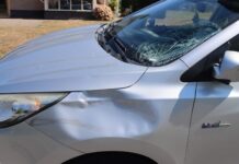 Wielrenner gewond na botsing