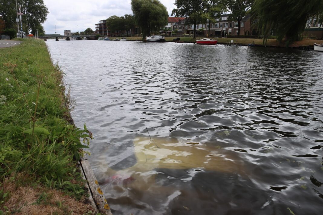 081826autotewaterrijnsburg