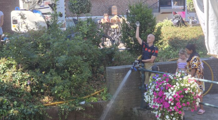 Badeenden nemen de Vliet in