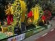 Flower Parade onder zomerse omstandigheden