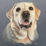Nieuwe expositie ‘Lief Dier’