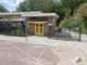 Leidse Buitenschool wemelt van vlooien, leerlingen en personeel moeten tijdelijk verhuizen