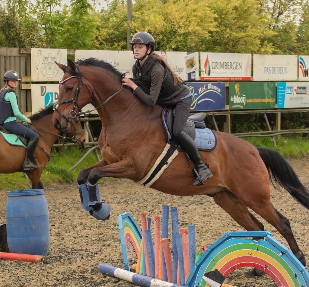 090826paardensportcdakatwijk