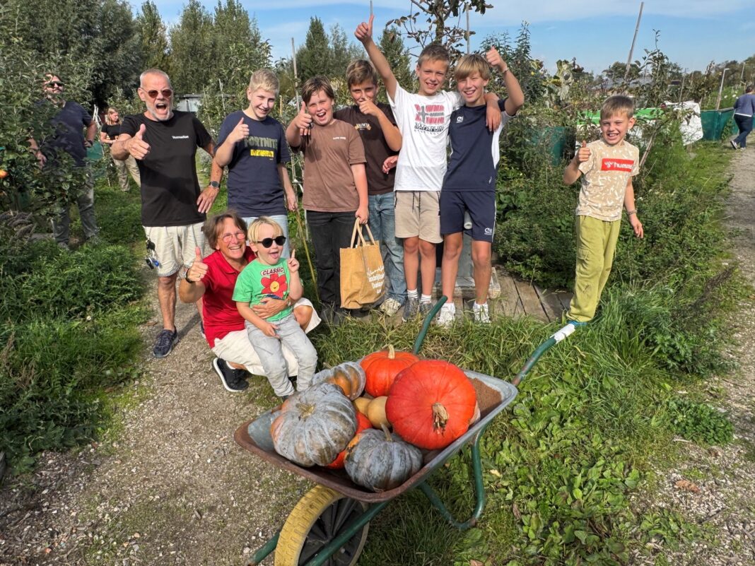 101026 Zanderijtuintjes pompoen