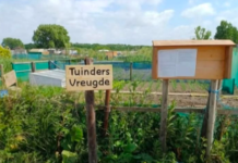 Tuinders Vreugde zet vraagtekens bij informatie gemeente Katwijk
