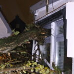 Storm: boom valt op woning en auto in Rijnsburg