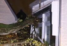 Storm: boom valt op woning en auto in Rijnsburg